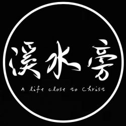 溪水旁的一棵树